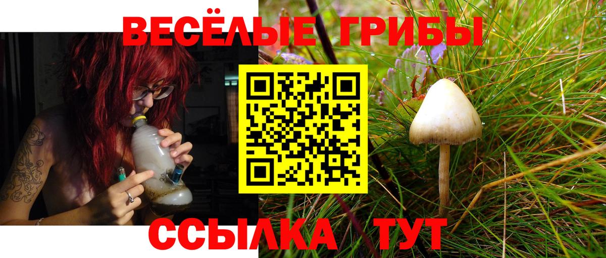 Псилоцибиновые грибы Psilocybe  Вход с VPN  Галлюциногенные грибы Magic Shrooms  Аргун 